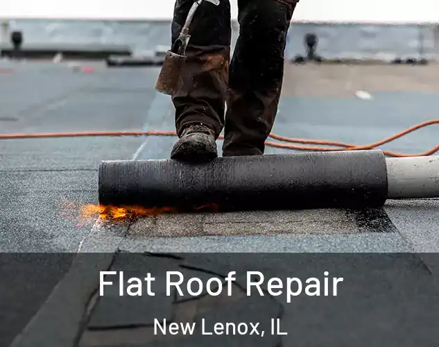  Flat Roof Repair New Lenox, IL
