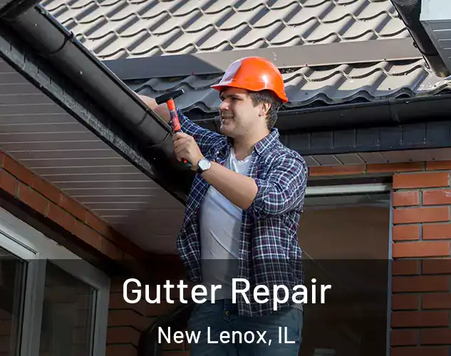 Gutter Repair New Lenox, IL