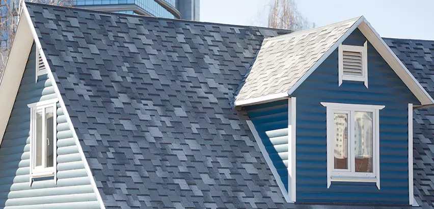 Shingle Roof Maintenance in New Lenox