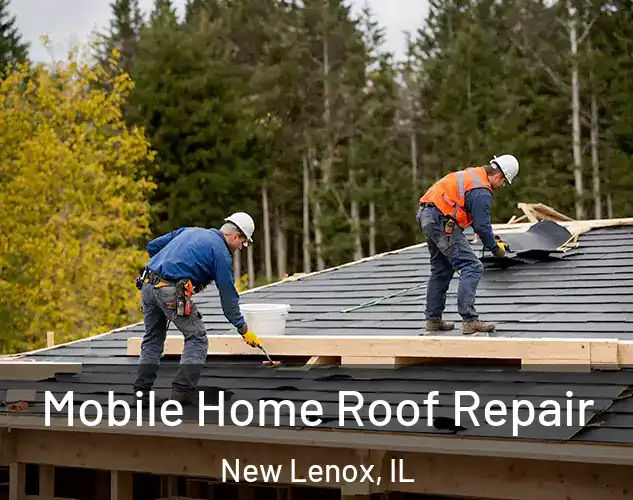  Mobile Home Roof Repair New Lenox, IL