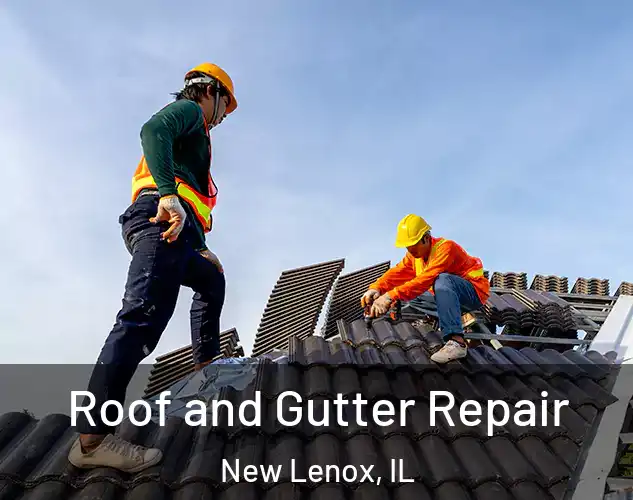  Roof and Gutter Repair New Lenox, IL