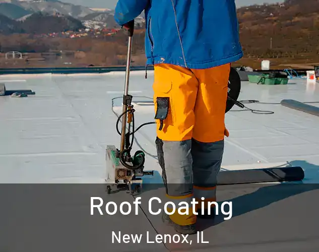  Roof Coating New Lenox, IL