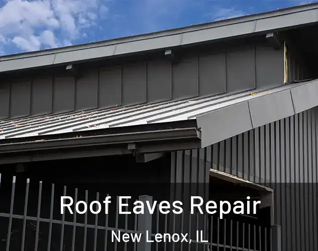  Roof Eaves Repair New Lenox, IL
