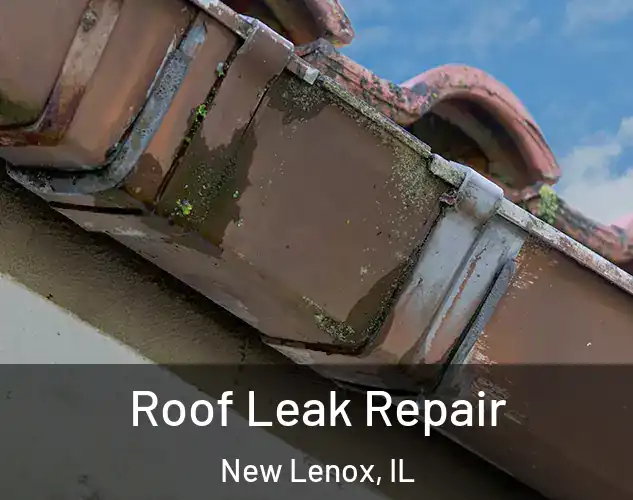  Roof Leak Repair New Lenox, IL
