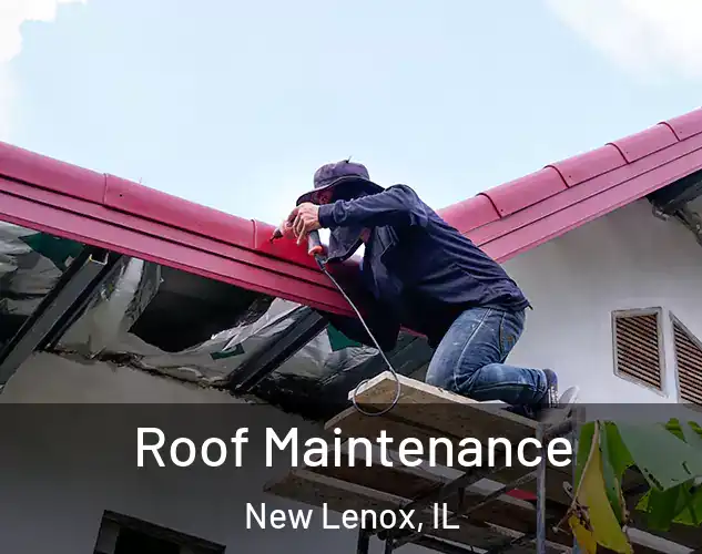  Roof Maintenance New Lenox, IL