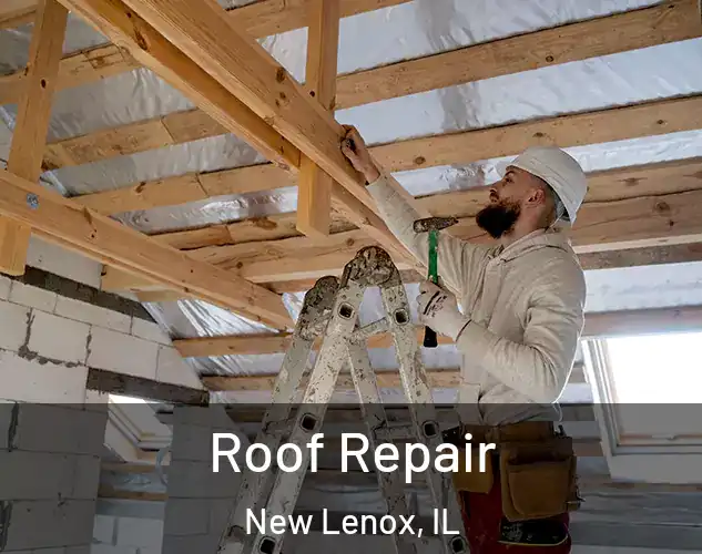  Roof Repair New Lenox, IL