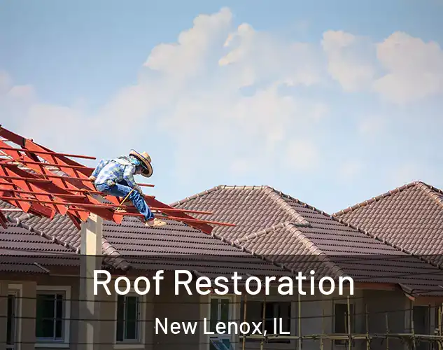  Roof Restoration New Lenox, IL