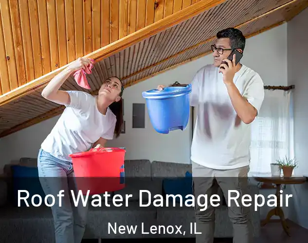  Roof Water Damage Repair New Lenox, IL