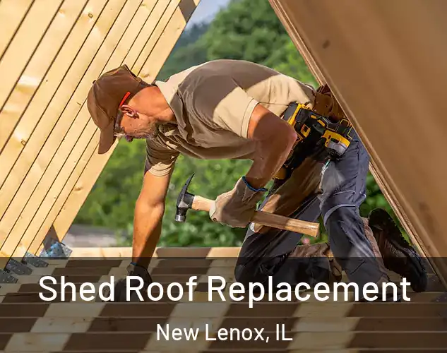  Shed Roof Replacement New Lenox, IL