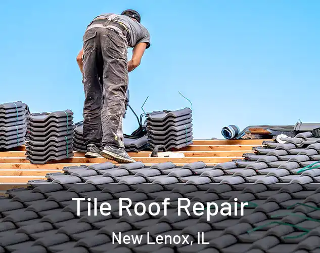  Tile Roof Repair New Lenox, IL