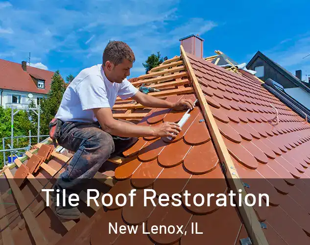  Tile Roof Restoration New Lenox, IL