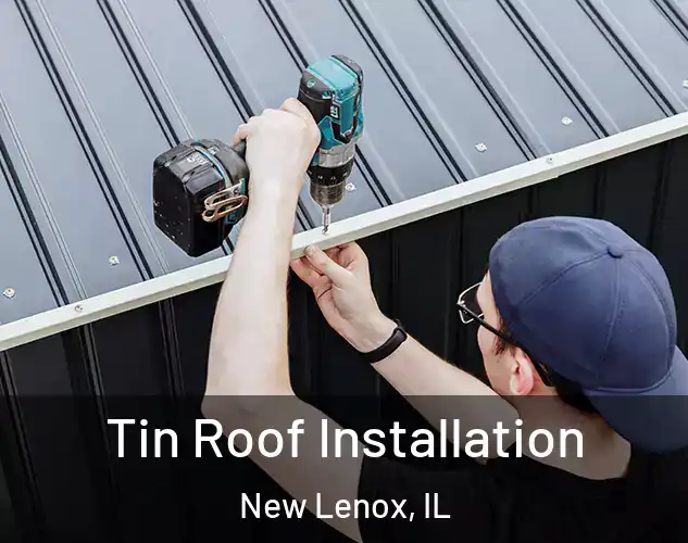  Tin Roof Installation New Lenox, IL